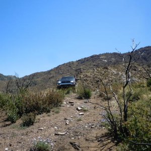 DSCN0243