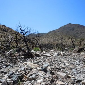 DSCN0238