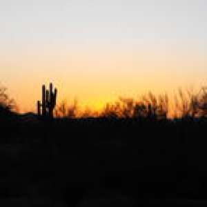 DSCF0040