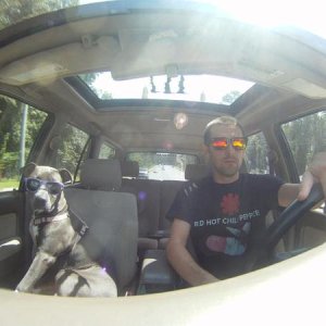 My sweet pup Lola. shot on my GoPro Hero 3