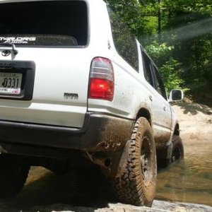 Getting her toes wet.