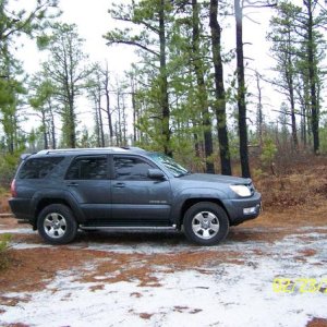Pine Barrens Feb 2013