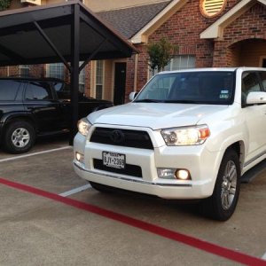 Front grill and fog light covers plasti-dipped
