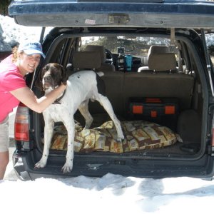 Trail Ridge Road, Colorodo in June. My wife and my German Shorthaired Pointer