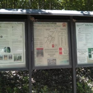 IMG 20130526 141949