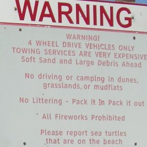Not sure what's wrong with Turtle's being on the beach