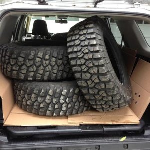 Wooohooooo just picked up the KM2's.