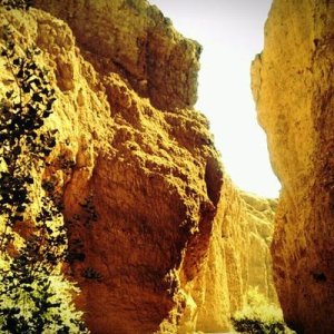Red Canyon Trail by Chiraco Summit