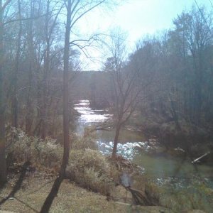 Alabama the beautiful
