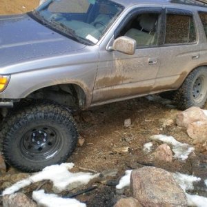 new flex pic
