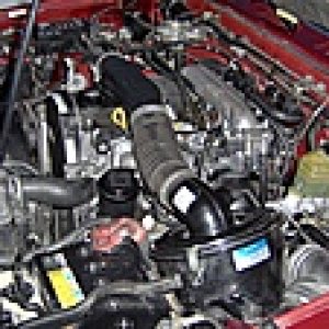 picture 1