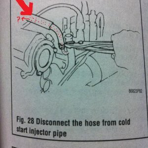 phantom hose... where does it go?? the chiltons doesnt say much and i cant find good pix! help!