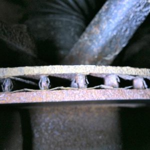 Another closeup of the old rotor (drivers side), which was pulling quite a bit to the left.