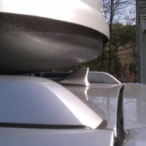 IMAG0571