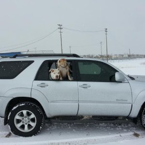 Out playing in the snow in Tucson Arizona
