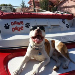 Buzz hanging out on the dawg daze