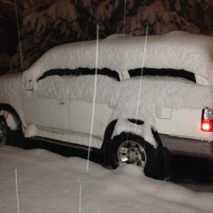 Spring in Colorado