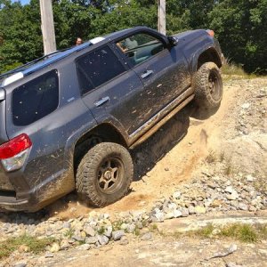 cruising through the woods