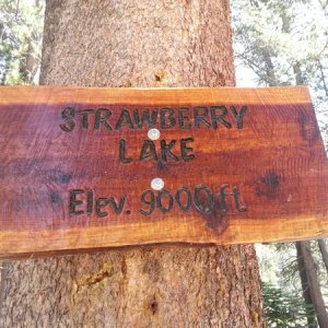 Strawberry Lake 9000ft.