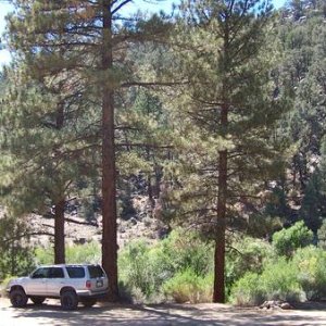 Waker Pass Camp   Monache Trailhead 8 14 13 080