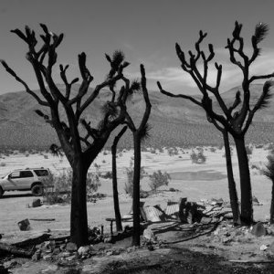 Garlock Area April 2012 032