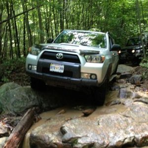 t4r at Cove on Trickle