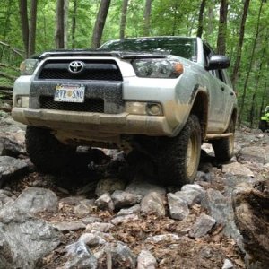 T4R at Cove on Cobra