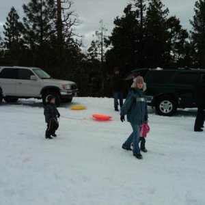IMG00050 20100101 1420