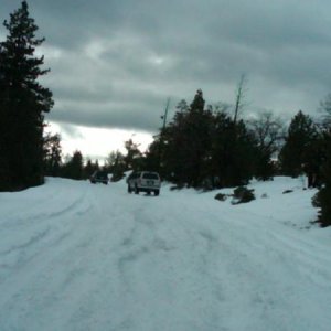 IMG00052 20100101 1503