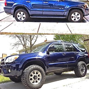 Evolution