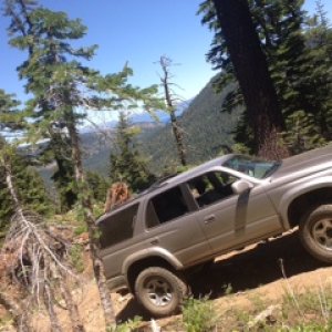 Blackwood Canyon