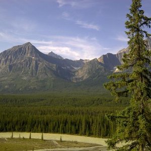 Jasper / CDN Rockies