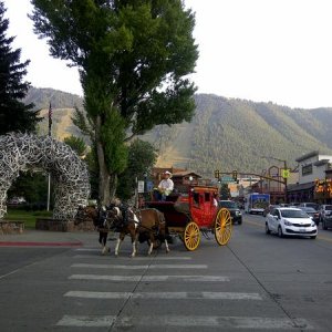 Jackson Hole Wy