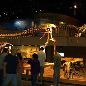 Drumheller Royal Tyrol Museum