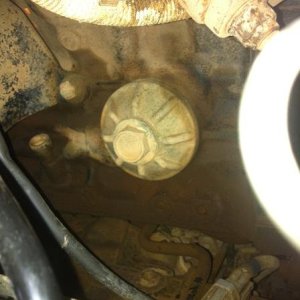surf oil cooler