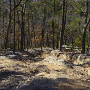 From the top of Dickey Bell, looking down.  Uwharrie, NC.