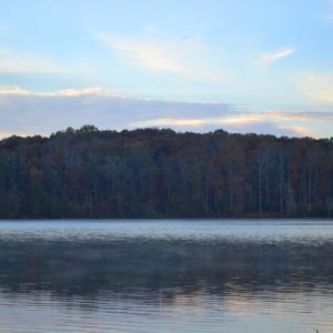 From Lake Badin Campground, Uwharrie, NC.