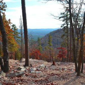 From the top of Daniel Trail, Uwharrie, NC.