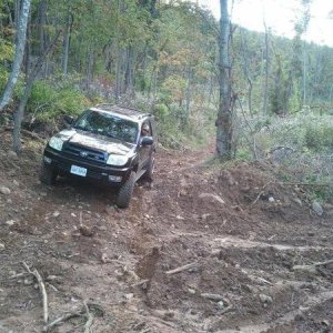 Trail riding on old skidder trails in cutover looking for hunting spots