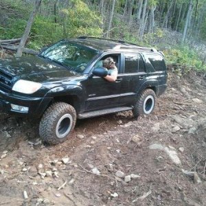 Trailriding old skidder trail cont.