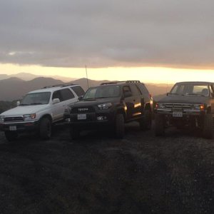 T4r run