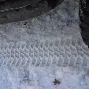 gaurd dog foot print