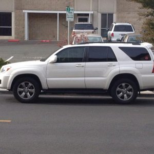 Stock with tint.