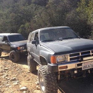 Deer springs