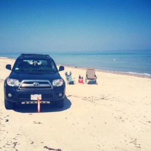 Sandy Neck Beach Cape Cod