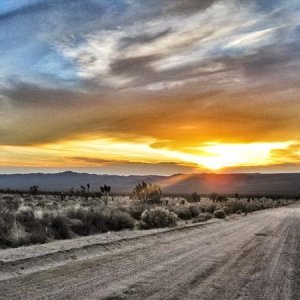 Mojave Road