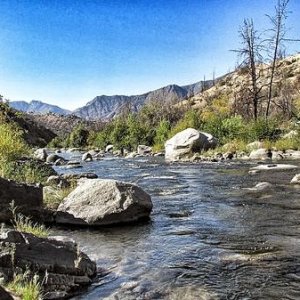Kern