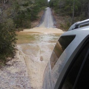Small river crossing (Eglin, FL)- stock