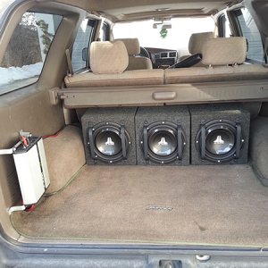 trunk