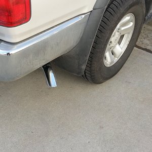 tail